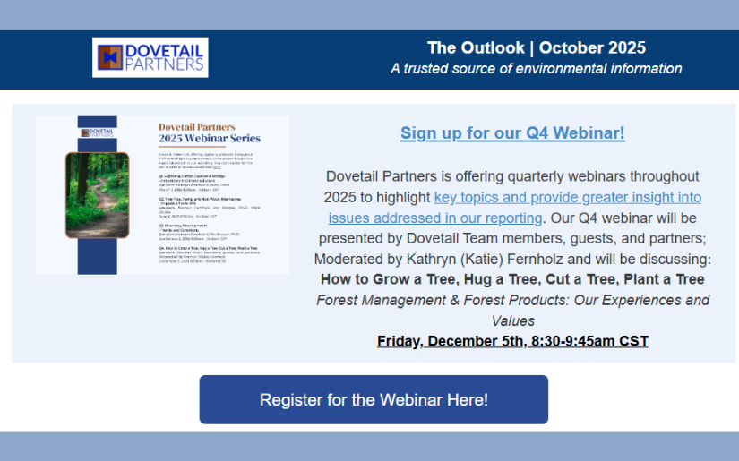 The Outlook | October 2025